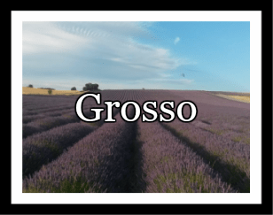 Grosso