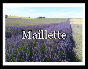 Maillette