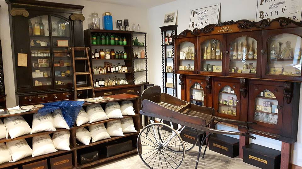 13256074_10154178093411354_7449729026075568834_n