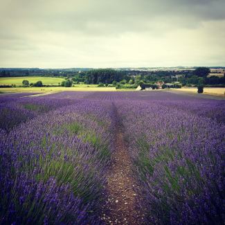 20046723_10155488274526354_8666056853466609257_n