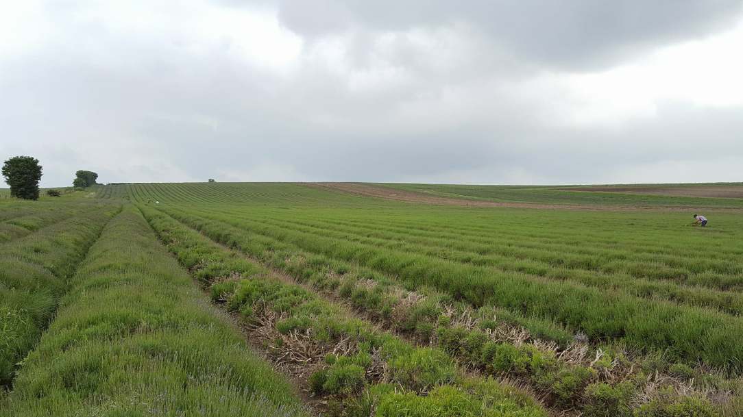 34086033_10213597941200435_6064708059215691776_n