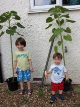 20140807_080544 (2) (1)