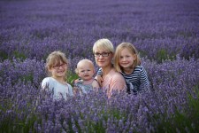 Hitchin-Lavender-amazing-4