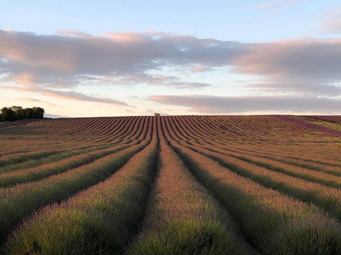 Hz61bjUISoOZTFY81oI79A